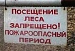 С 25 апреля в Тюменской области введен особый противопожарный режим